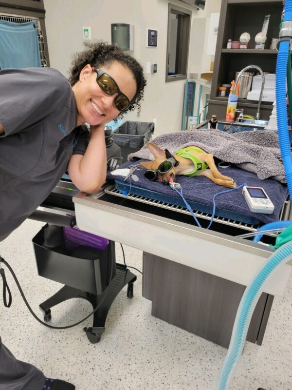 HowTo Videos Aloha Vet